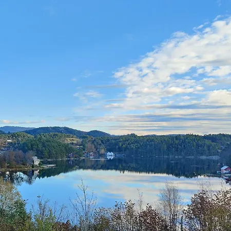 Appartement Cozy In With Kitchen