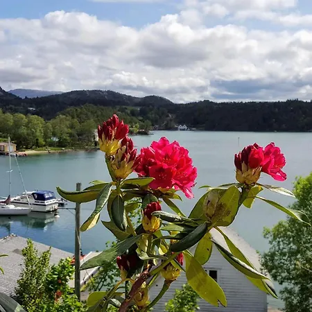 Cozy In With Kitchen Sveio